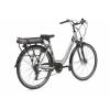 Bicicletas eléctricas e-CLOOT Ionic Bateria 37v/13A Ceniza 3