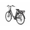 Bicicleta eléctrica e-CLOOT Ionic Gris Bateria 37v/13A 5